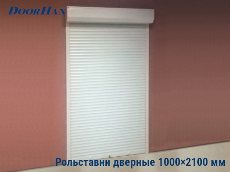 Рольставни на двери 1000×2100 мм в Екатеринбурге от 28786 руб.