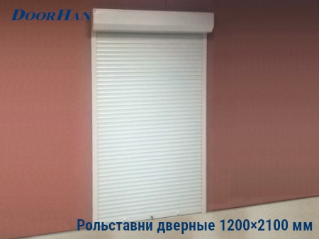 Рольставни на двери 1200×2100 мм в Екатеринбурге от 31709 руб.
