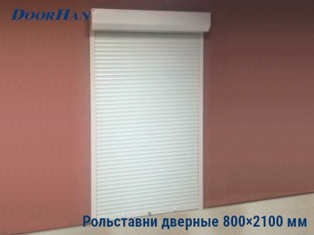 Рольставни на двери 800×2100 мм в Екатеринбурге от 25863 руб.